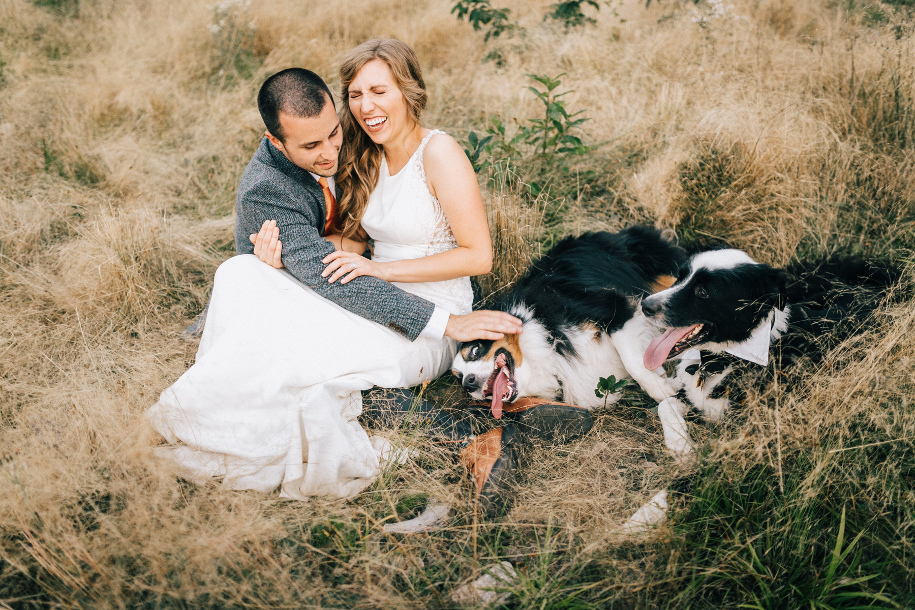 marquette Michigan wedding photographer Lake Superior black rocks presque isle snowville farms northern Michigan photographers coney wedding barn dog ring bearers