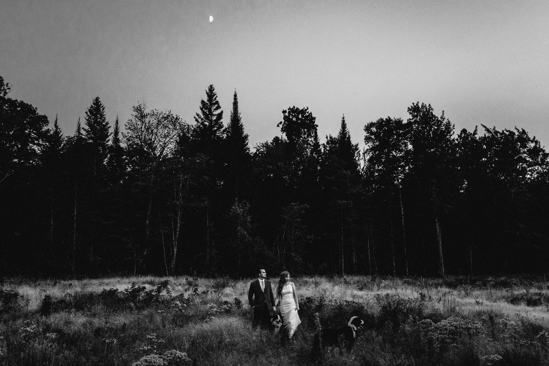 marquette Michigan wedding photographer Lake Superior black rocks presque isle snowville farms northern Michigan photographers coney wedding barn dog ring bearers